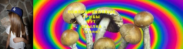 амф Богданович