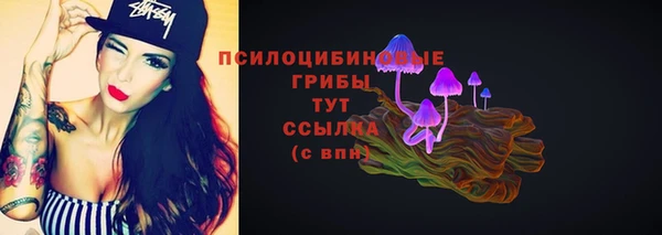 амф Богданович