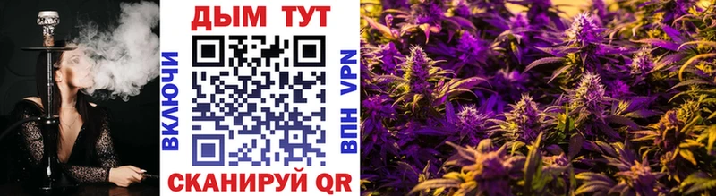 Шишки марихуана OG Kush omg вход Альметьевск